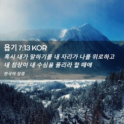 Picture 02 - 욥기 7:13 KOR - 혹시 내가 말하기를 내 자리가 나를 - Bible Verse Picture