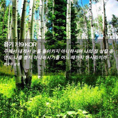 Picture 02 - 욥기 7:19 KOR - 주께서 내게서 눈을 돌이키지 - Bible Verse Picture