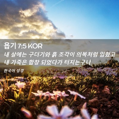 Picture 02 - 욥기 7:5 KOR - 내 살에는 구더기와 흙 조각이 - Bible Verse Picture