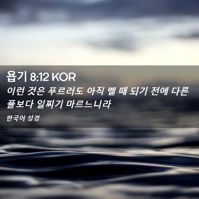 Picture 02 - 욥기 8:12 KOR - 이런 것은 푸르러도 아직 벨 때 되기 - Bible Verse Picture