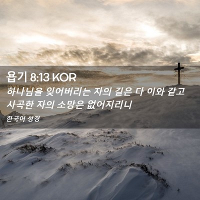 Picture 02 - 욥기 8:13 KOR - 하나님을 잊어버리는 자의 길은 다 - Bible Verse Picture