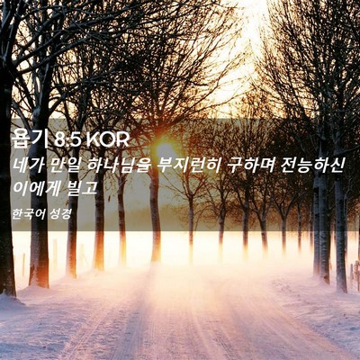 Picture 02 - 욥기 8:5 KOR - 네가 만일 하나님을 부지런히 구하며 - Bible Verse Picture