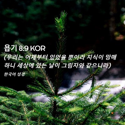 Picture 02 - 욥기 8:9 KOR - (우리는 어제부터 있었을 뿐이라 - Bible Verse Picture