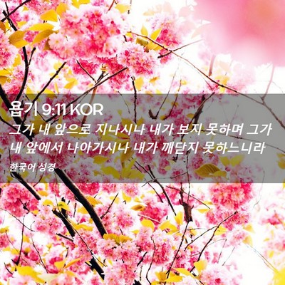 Picture 02 - 욥기 9:11 KOR - 그가 내 앞으로 지나시나 내가 보지 - Bible Verse Picture