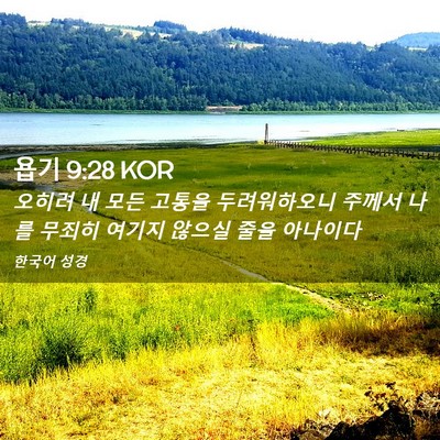 Picture 02 - 욥기 9:28 KOR - 오히려 내 모든 고통을 두려워하오니 - Bible Verse Picture