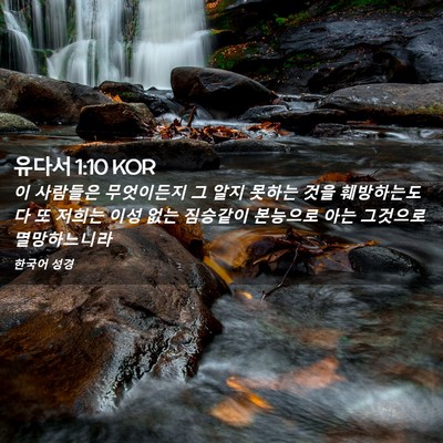 Picture 02 - 유다서 1:10 KOR - 이 사람들은 무엇이든지 그 알지 - Bible Verse Picture