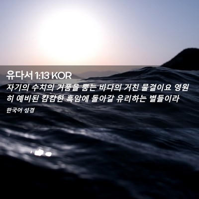Picture 02 - 유다서 1:13 KOR - 자기의 수치의 거품을 뿜는 바다의 - Bible Verse Picture