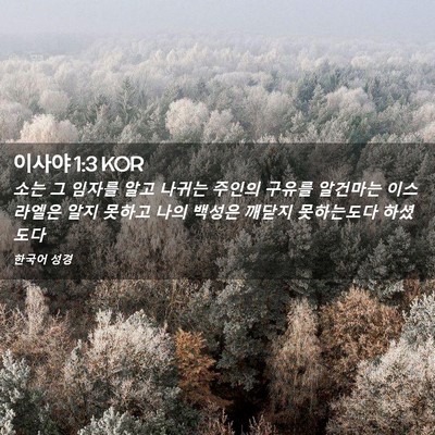 Picture 02 - 이사야 1:3 KOR - 소는 그 임자를 알고 나귀는 주인의 - Bible Verse Picture