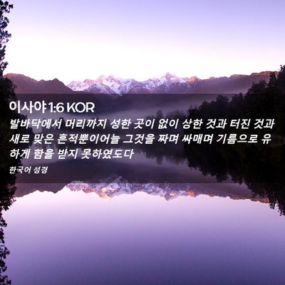 Picture 02 - 이사야 1:6 KOR - 발바닥에서 머리까지 성한 곳이 없이 - Bible Verse Picture
