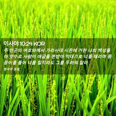 Picture 02 - 이사야 10:24 KOR - 주 만군의 여호와께서 가라사대 - Bible Verse Picture