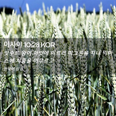 Picture 02 - 이사야 10:28 KOR - 앗수르 왕이 아얏에 이르러 미그론을 - Bible Verse Picture