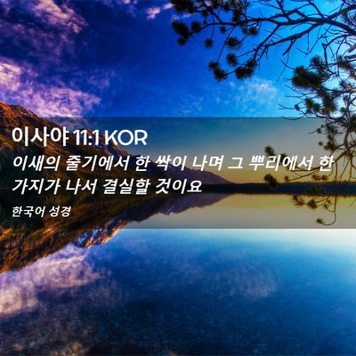 Picture 02 - 이사야 11:1 KOR - 이새의 줄기에서 한 싹이 나며 그 - Bible Verse Picture