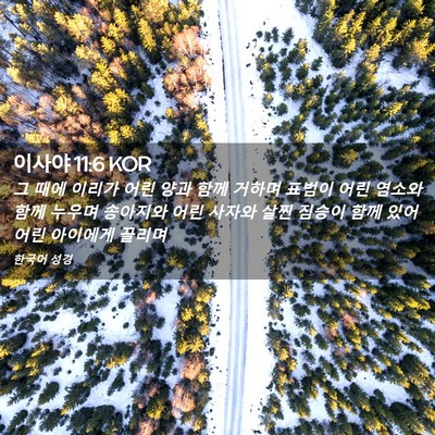 Picture 02 - 이사야 11:6 KOR - 그 때에 이리가 어린 양과 함께 - Bible Verse Picture