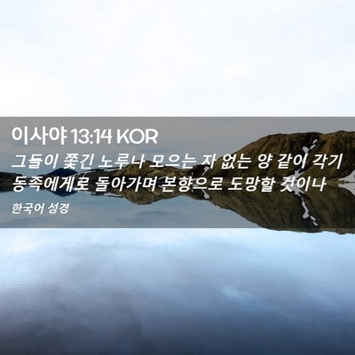 Picture 02 - 이사야 13:14 KOR - 그들이 쫓긴 노루나 모으는 자 없는 - Bible Verse Picture