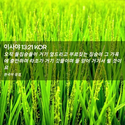 Picture 02 - 이사야 13:21 KOR - 오직 들짐승들이 거기 엎드리고 - Bible Verse Picture