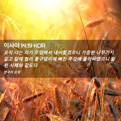 Picture 02 - 이사야 14:19 KOR - 오직 너는 자기 무덤에서 - Bible Verse Picture