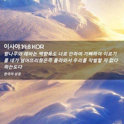 Picture 02 - 이사야 14:8 KOR - 향나무와 레바논 백향목도 너로 - Bible Verse Picture