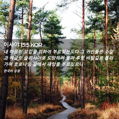 Picture 02 - 이사야 15:5 KOR - 내 마음이 모압을 위하여 - Bible Verse Picture