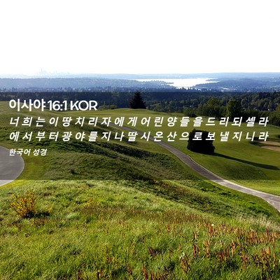 Picture 02 - 이사야 16:1 KOR - 너 희 는 이 땅 치 리 자 에 게 어 린 - Bible Verse Picture