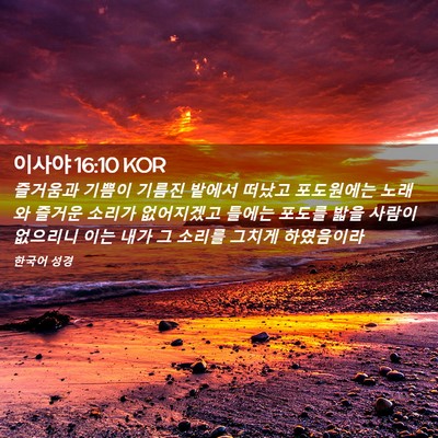 Picture 02 - 이사야 16:10 KOR - 즐거움과 기쁨이 기름진 밭에서 - Bible Verse Picture