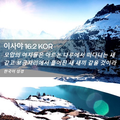 Picture 02 - 이사야 16:2 KOR - 모압의 여자들은 아르논 나루에서 - Bible Verse Picture