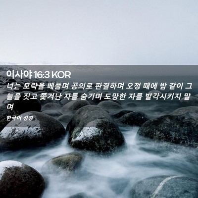 Picture 02 - 이사야 16:3 KOR - 너는 모략을 베풀며 공의로 판결하며 - Bible Verse Picture