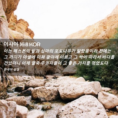 Picture 02 - 이사야 16:8 KOR - 이는 헤스본의 밭과 십마의 - Bible Verse Picture