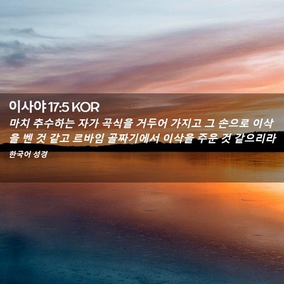 Picture 02 - 이사야 17:5 KOR - 마치 추수하는 자가 곡식을 거두어 - Bible Verse Picture
