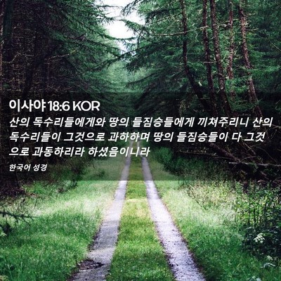 Picture 02 - 이사야 18:6 KOR - 산의 독수리들에게와 땅의 - Bible Verse Picture
