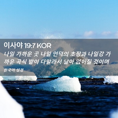 Picture 02 - 이사야 19:7 KOR - 나일 가까운 곳 나일 언덕의 초장과 - Bible Verse Picture