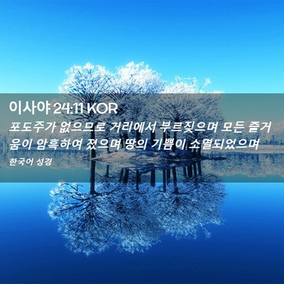 Picture 02 - 이사야 24:11 KOR - 포도주가 없으므로 거리에서 - Bible Verse Picture