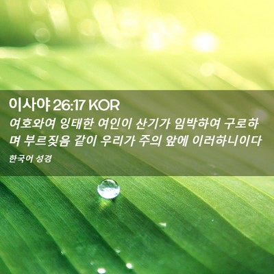 Picture 02 - 이사야 26:17 KOR - 여호와여 잉태한 여인이 산기가 - Bible Verse Picture