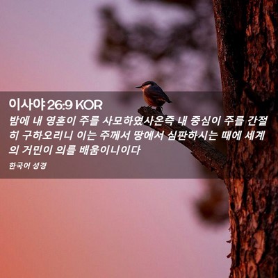Picture 02 - 이사야 26:9 KOR - 밤에 내 영혼이 주를 사모하였사온즉 - Bible Verse Picture