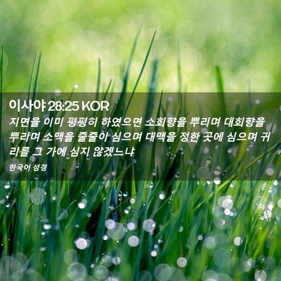 Picture 02 - 이사야 28:25 KOR - 지면을 이미 평평히 하였으면 - Bible Verse Picture