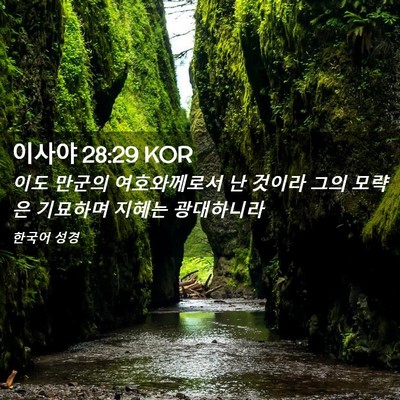 Picture 02 - 이사야 28:29 KOR - 이도 만군의 여호와께로서 난 것이라 - Bible Verse Picture
