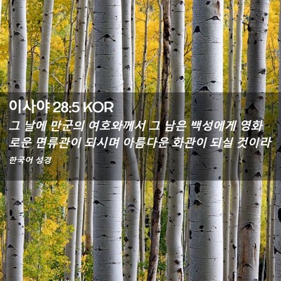 Picture 02 - 이사야 28:5 KOR - 그 날에 만군의 여호와께서 그 남은 - Bible Verse Picture