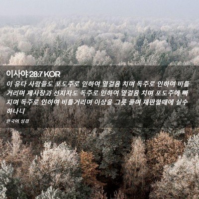 Picture 02 - 이사야 28:7 KOR - 이 유다 사람들도 포도주로 인하여 - Bible Verse Picture