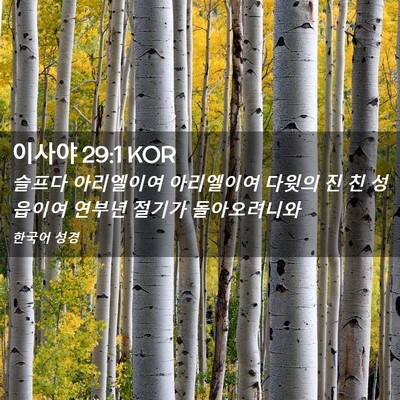 Picture 02 - 이사야 29:1 KOR - 슬프다 아리엘이여 아리엘이여 - Bible Verse Picture