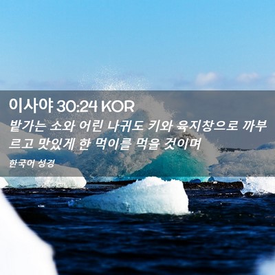 Picture 02 - 이사야 30:24 KOR - 밭가는 소와 어린 나귀도 키와 - Bible Verse Picture