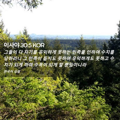 Picture 02 - 이사야 30:5 KOR - 그들이 다 자기를 유익하게 못하는 - Bible Verse Picture