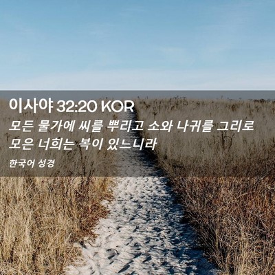 Picture 02 - 이사야 32:20 KOR - 모든 물가에 씨를 뿌리고 소와 - Bible Verse Picture