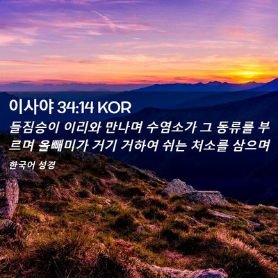 Picture 02 - 이사야 34:14 KOR - 들짐승이 이리와 만나며 수염소가 그 - Bible Verse Picture
