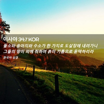 Picture 02 - 이사야 34:7 KOR - 들소와 송아지와 수소가 한 가지로 - Bible Verse Picture
