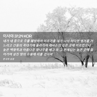 Picture 02 - 이사야 37:24 KOR - 네가 네 종으로 주를 훼방하여 - Bible Verse Picture