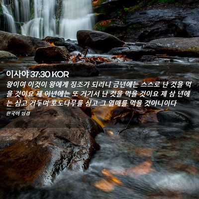 Picture 02 - 이사야 37:30 KOR - 왕이여 이것이 왕에게 징조가 되리니 - Bible Verse Picture