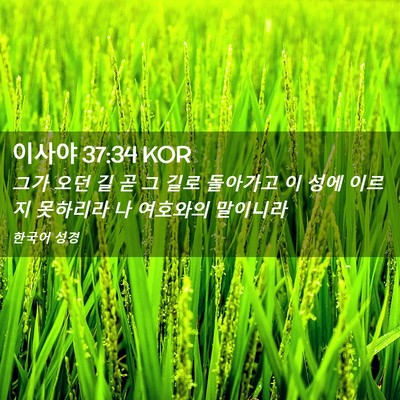 Picture 02 - 이사야 37:34 KOR - 그가 오던 길 곧 그 길로 돌아가고 이 - Bible Verse Picture