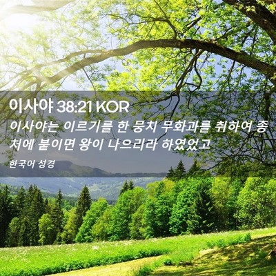 Picture 02 - 이사야 38:21 KOR - 이사야는 이르기를 한 뭉치 무화과를 - Bible Verse Picture