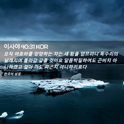 Picture 02 - 이사야 40:31 KOR - 오직 여호와를 앙망하는 자는 새 - Bible Verse Picture