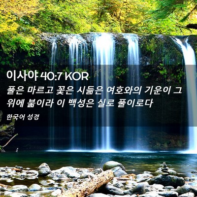 Picture 02 - 이사야 40:7 KOR - 풀은 마르고 꽃은 시듦은 여호와의 - Bible Verse Picture