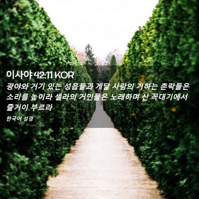 Picture 02 - 이사야 42:11 KOR - 광야와 거기 있는 성읍들과 게달 - Bible Verse Picture